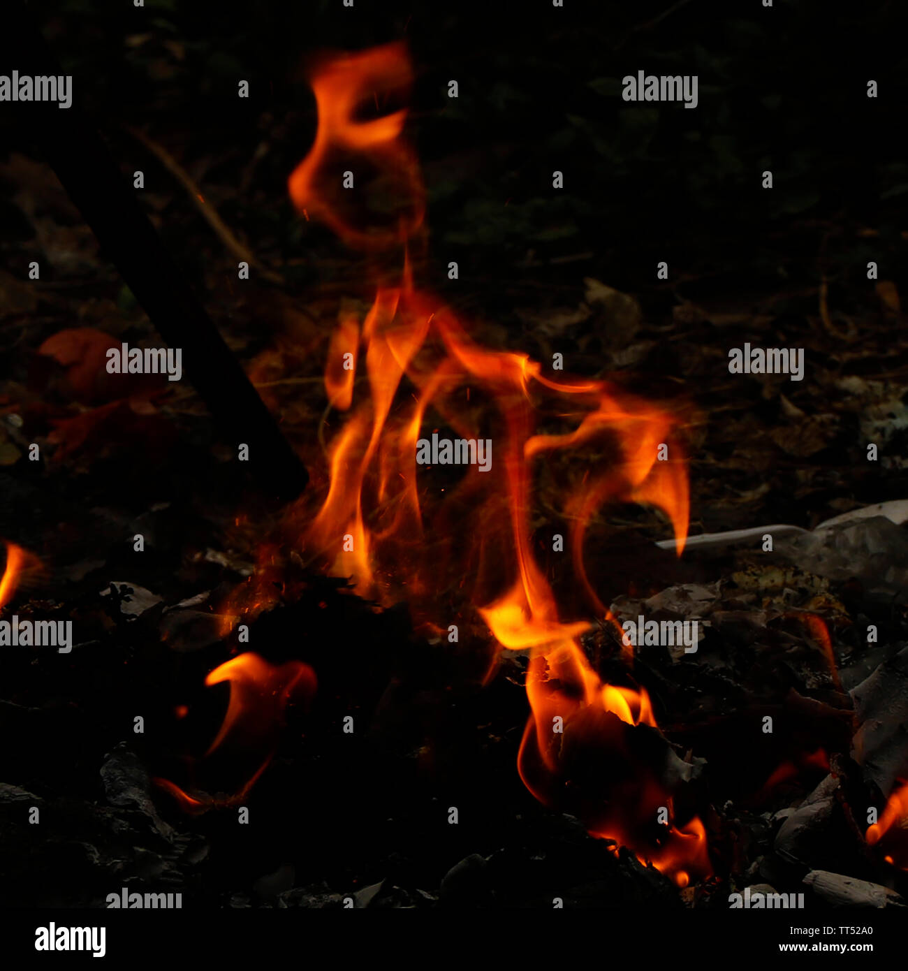 Feuer flammen in der Dunkelheit Stockfoto