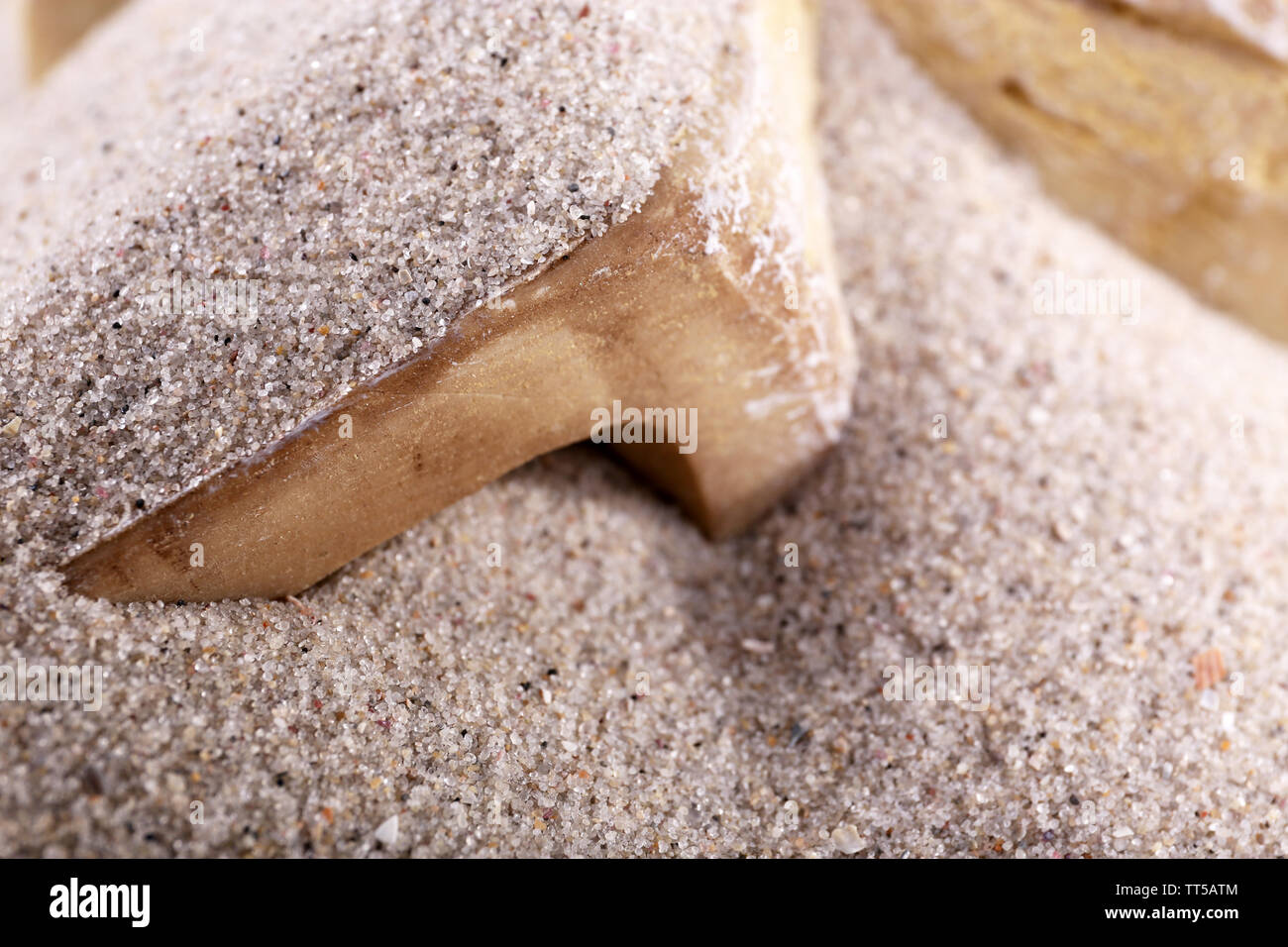 Knochen im Sand in der Nähe von Stockfoto