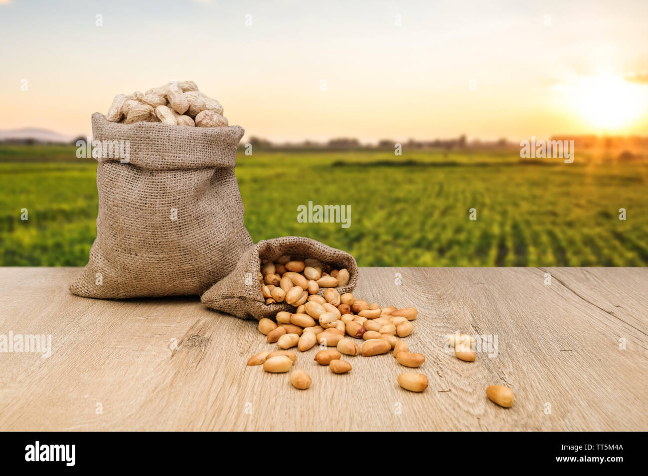 gerostete-erdnusse-und-rohe-erdnusse-in-sack-sack-hintergrund-ist-peanut-farm-tt5m4a.jpg