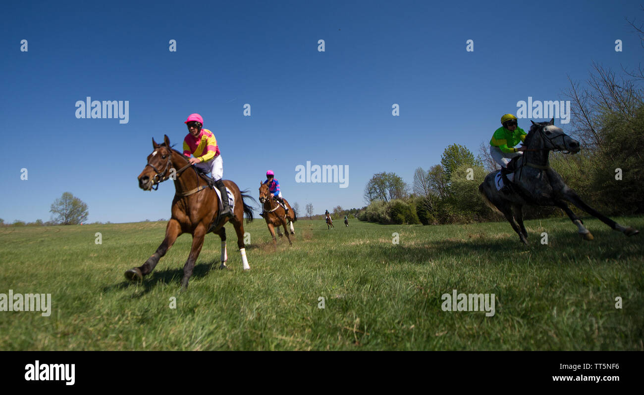 UNITED STATES - April 17, 2016: Die 50. jährliche Loudoun Jagd Punkt-zu-Punkt Rennen am Sonntag, April 17, 2016 (Foto: Douglas Graham/Loudoun Jetzt) Stockfoto