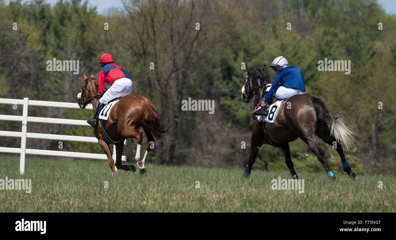 UNITED STATES - April 17, 2016: Die 50. jährliche Loudoun Jagd Punkt-zu-Punkt Rennen am Sonntag, April 17, 2016 (Foto: Douglas Graham/Loudoun Jetzt) Stockfoto