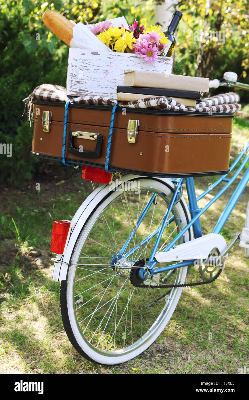 Fahrrad- und braunen Koffer mit Picknick im Schatten in Park Stockfoto