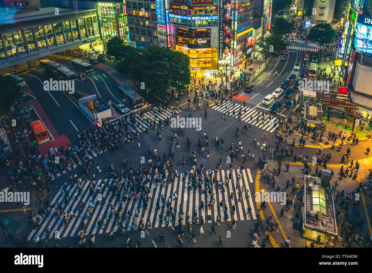 Tokyo, Japan - 12. Juni 2019: Shibuya Crossing, einem Weltbekannten und berühmten Kreuzung in Shibuya, Tokio. Hunderte von Menschen aus allen Richtungen auf Stockfoto