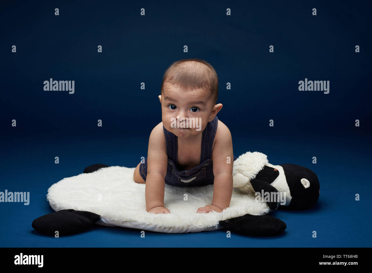 Latin baby boy Portrait in Blau studio Hintergrund Stockfoto