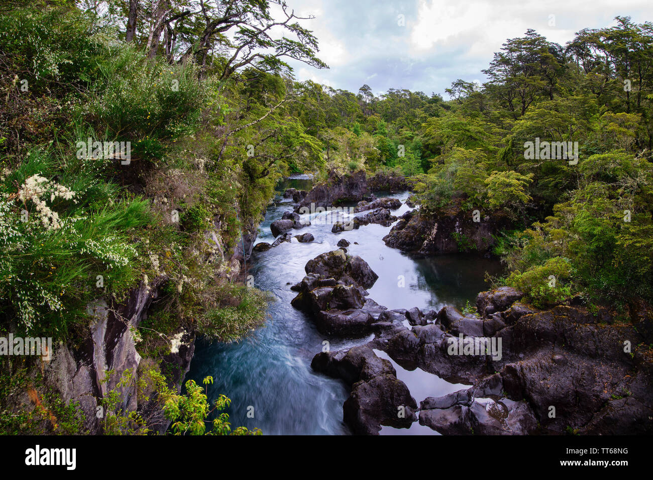 Türkisfarbene Wasser des Flusses Petrohue im Patagonia Region der Anden in Chile, in seinem Ursprung sind die Petrohue Wasserfälle. Stockfoto