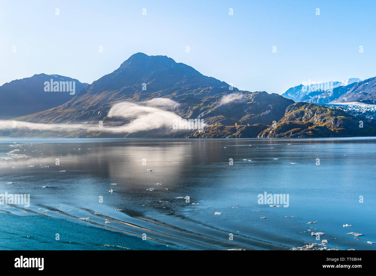 Glacier Bay National Park, Alaska. Spektakuläre fegen Vista von Eis bedeckte/schneebedeckte Berge, Gletscher, Fauna Landschaft. Stockfoto