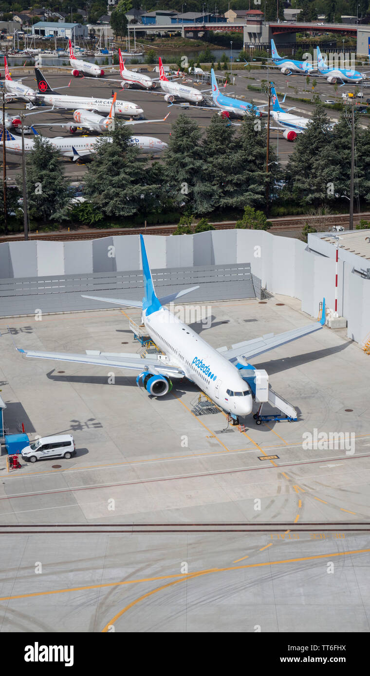 Juni 2019: Pobeda Boeing 737 Max Flugzeuge bei Boeing Feld Werk in der Nähe von Seattle, Washington, USA geerdet, während der Krise, die durch unsichere Software verursacht Stockfoto