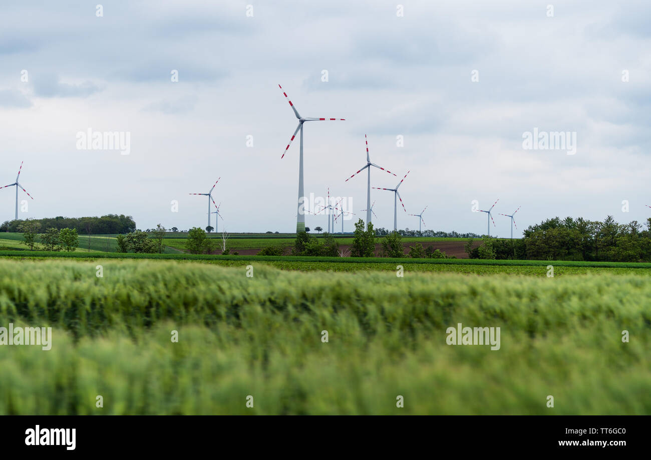 Wind Turbine auf die grünen Felder im Sommer. Natürliche Windkraftanlagen und nachhaltige umweltfreundliche Energieressourcen Stockfoto