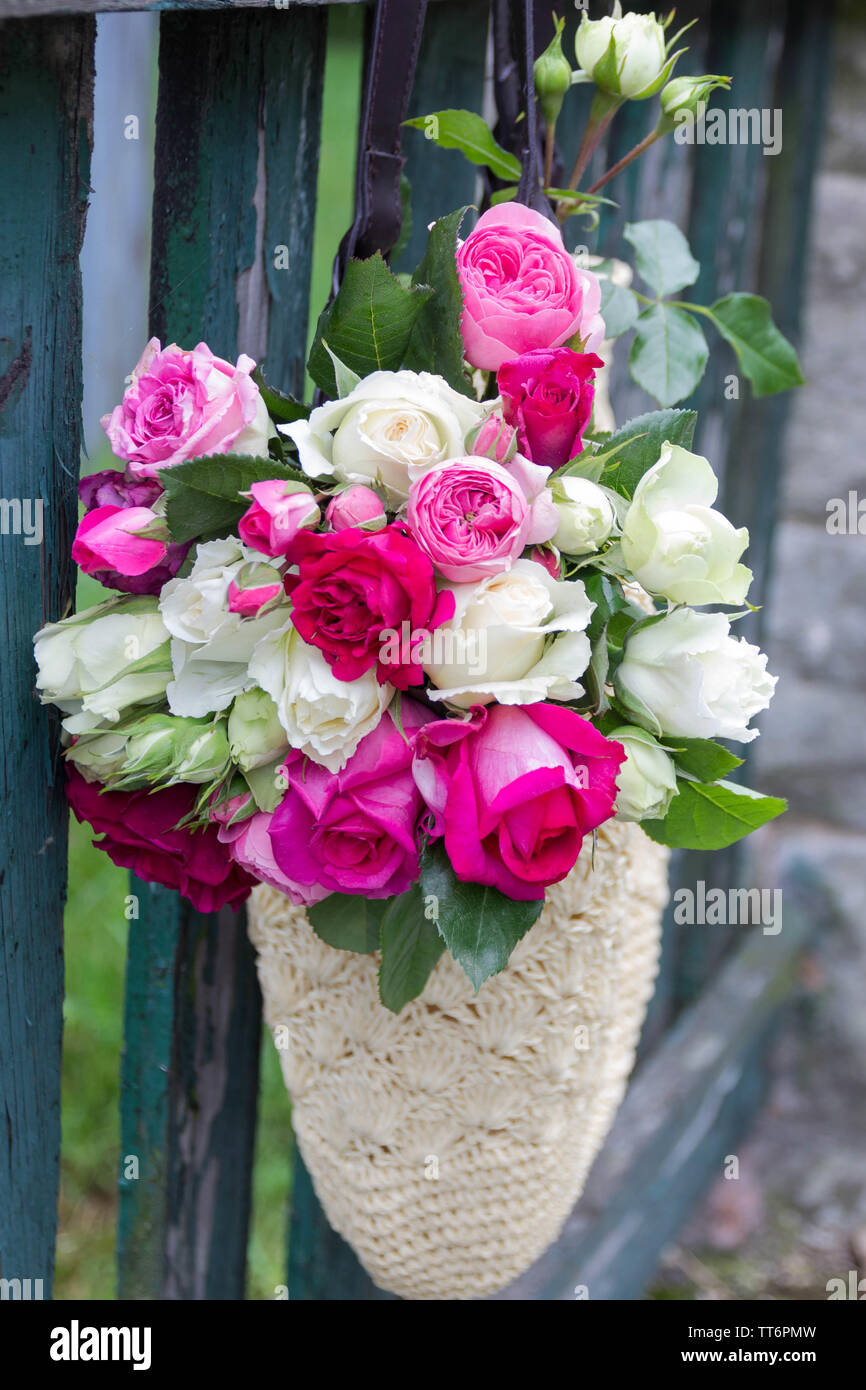 Blumenstrauß aus duftenden Englisch rosa und weißen Rosen in einer Tasche aus Bast hängt am Zaun Stockfotografie