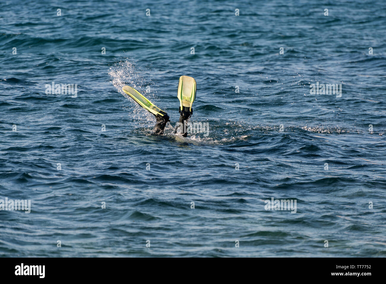 Flipper des Tauchers ragt aus dem Meer Oberfläche. Stockfoto