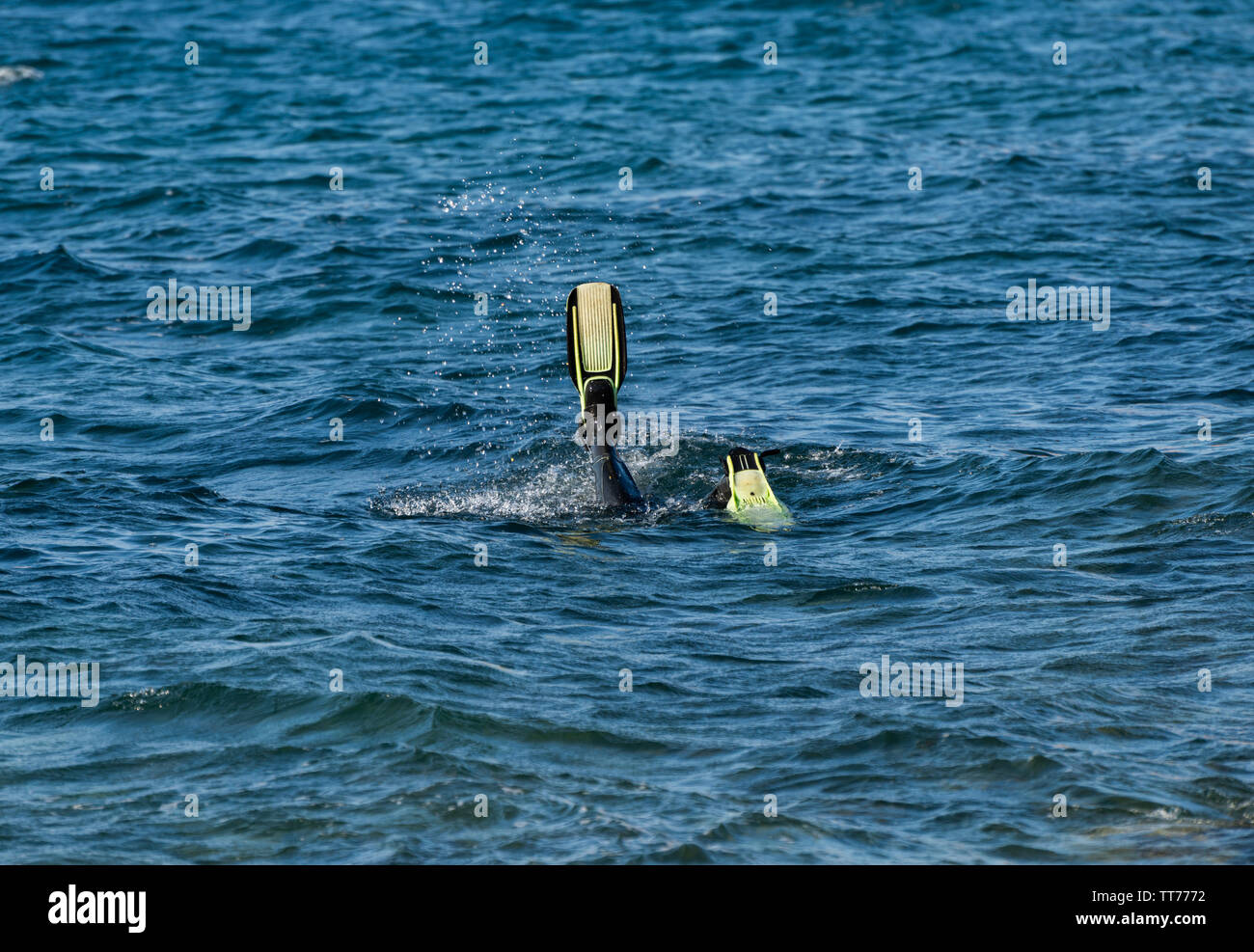 Flipper des Tauchers ragt aus dem Meer Oberfläche. Stockfoto