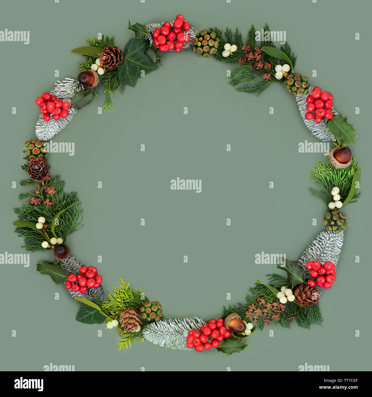 Natrliche Wintersonnenwende und Weihnachten Kranz mit Holly,  schneebedeckte Tannen, Mistel, Eicheln, zeder Bltter und Efeu auf grnem  Hintergrund mit cop Fichte Stockfotografie - Alamy