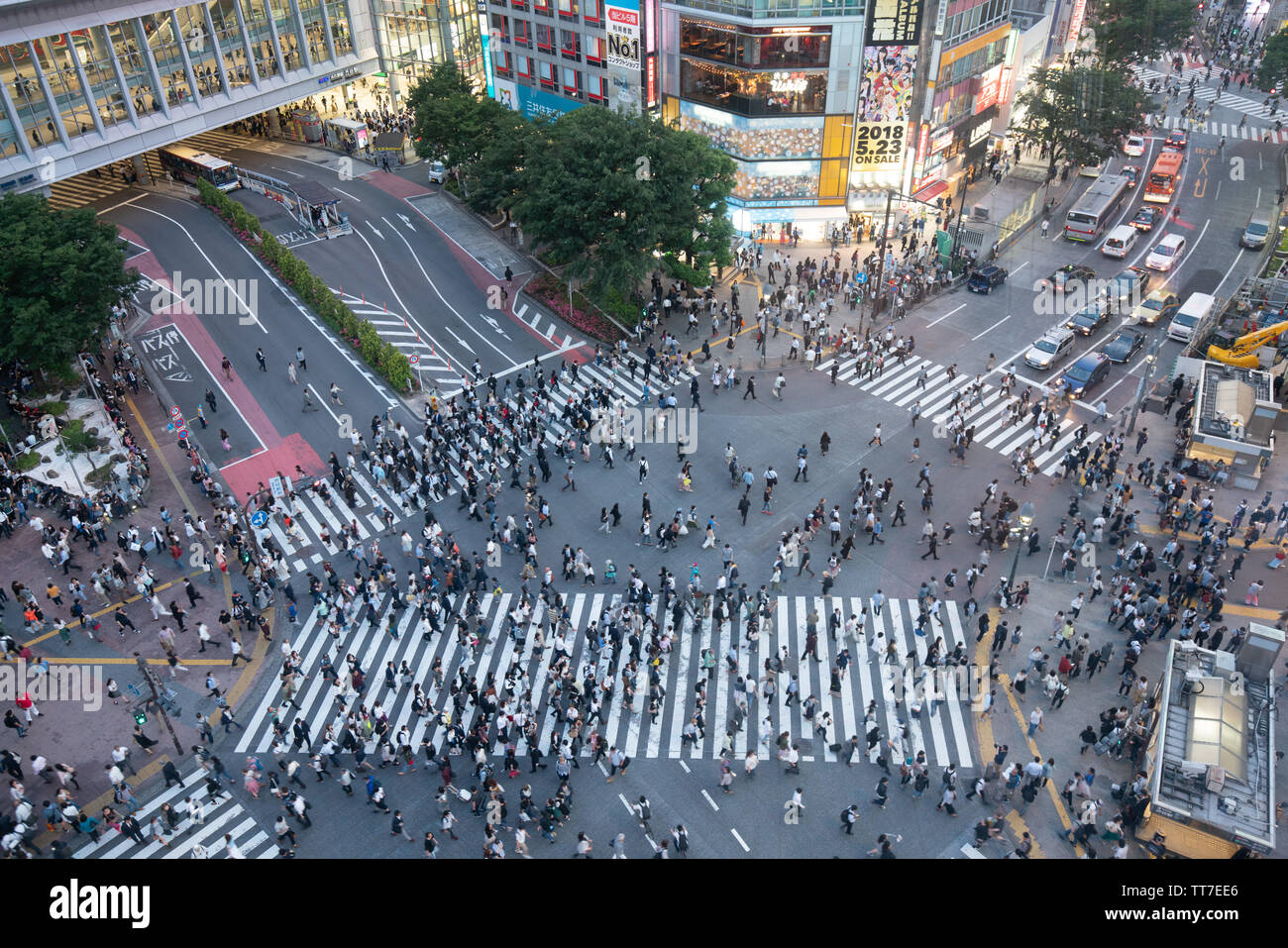 TOKYO, Japan - 16. MAI 2018: Fußgänger an zebrastreifen Stadtteil Shibuya in Tokio, Japan. Shibuya Crossing ist einer der verkehrsreichsten Fussgängerstreifen in der Welt Stockfoto