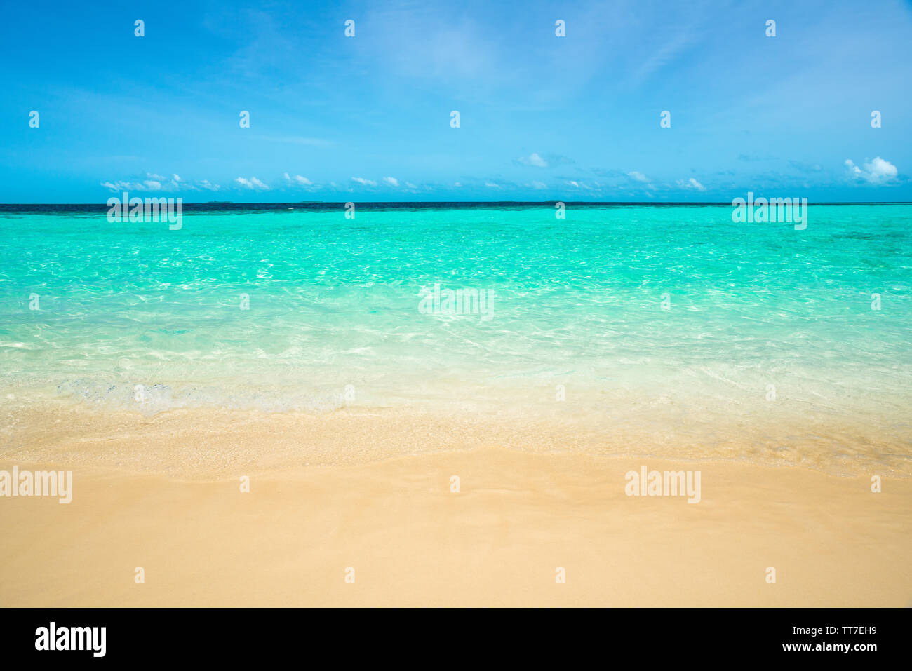 Welle der tropischen Meer Strand auf weißem Sand Stockfoto