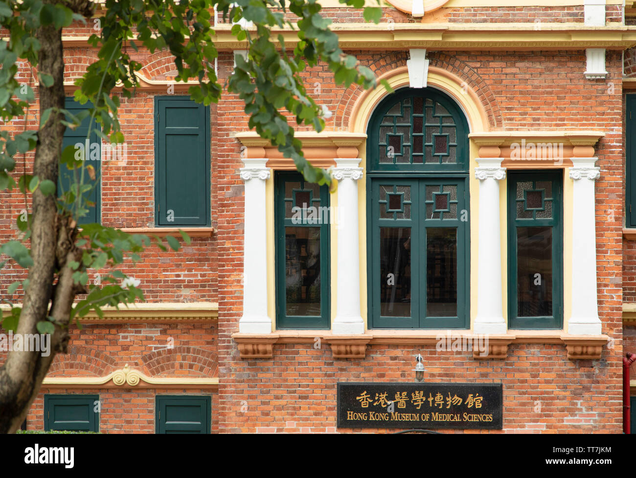 Museum der medizinischen Wissenschaften, Sheung Wan, Hong Kong Island, Hong Kong Stockfoto