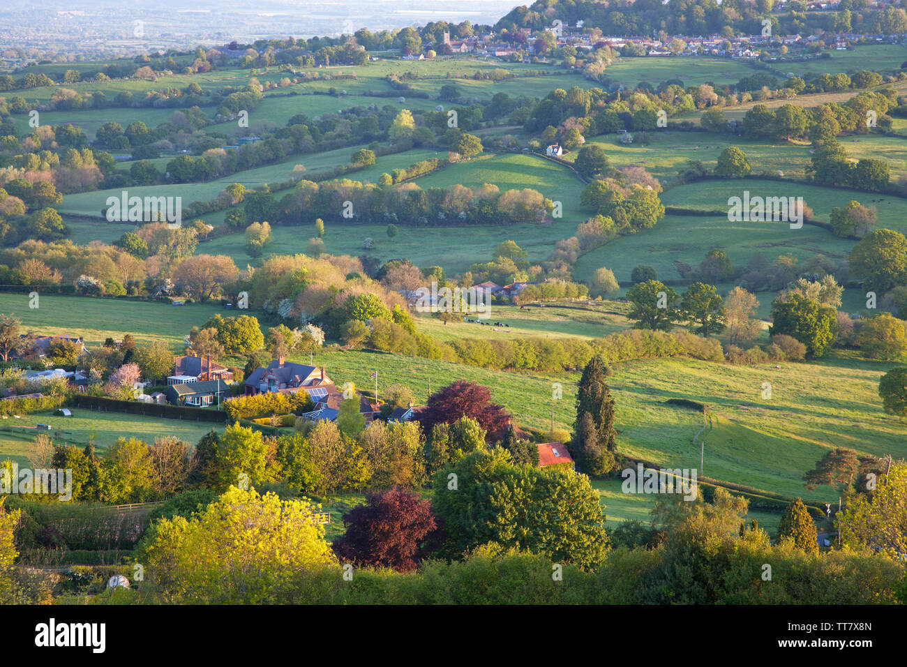 Die Landschaft im Süden von Shaftesbury in Dorset, von melbury Hill fotografiert. Stockfoto