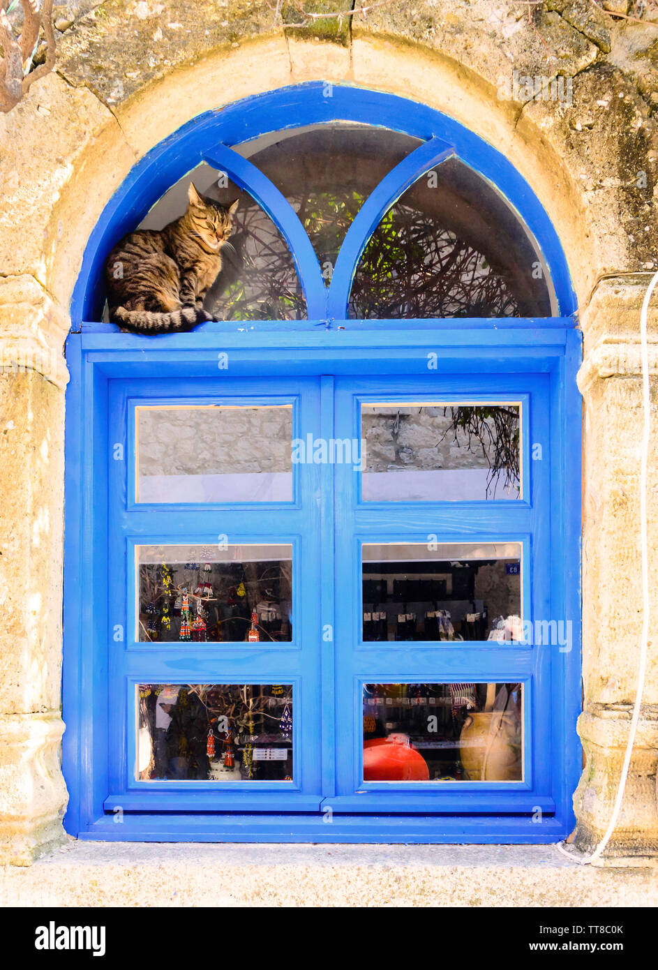 Katze sitzt vor einem bunten Fassade eines Fensters Stockfoto