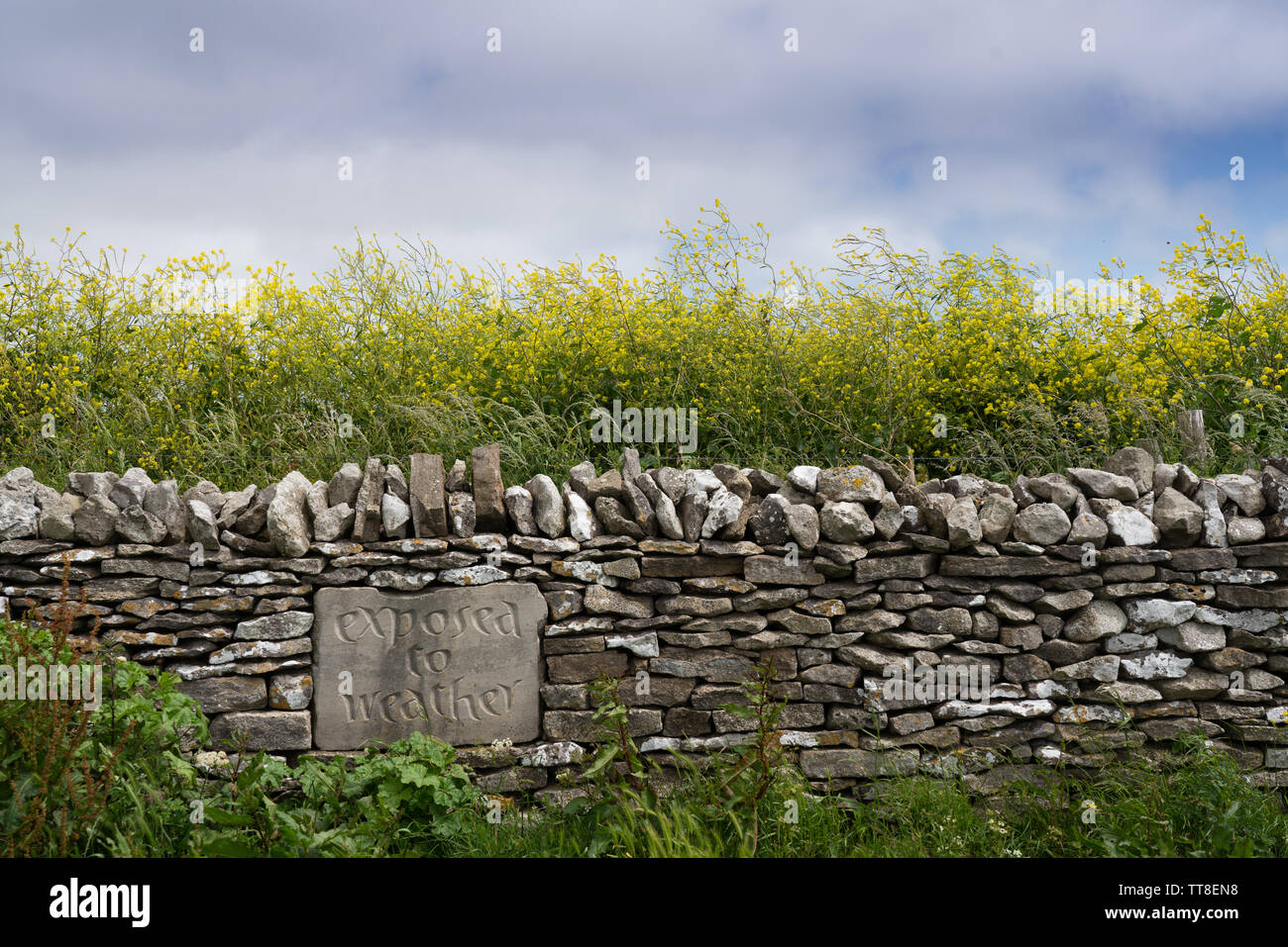 Der Witterung ausgesetzt, eine Inschrift in die Steinmauer entlang der Klippen des Chapman's Pool in Dorset geätzt Stockfoto