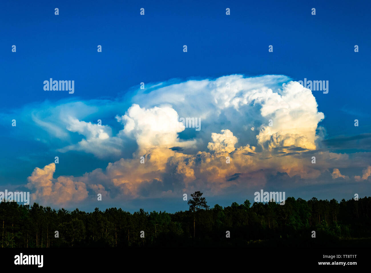 Ein thunderhead cloud Ansätze in der Ferne Stockfoto