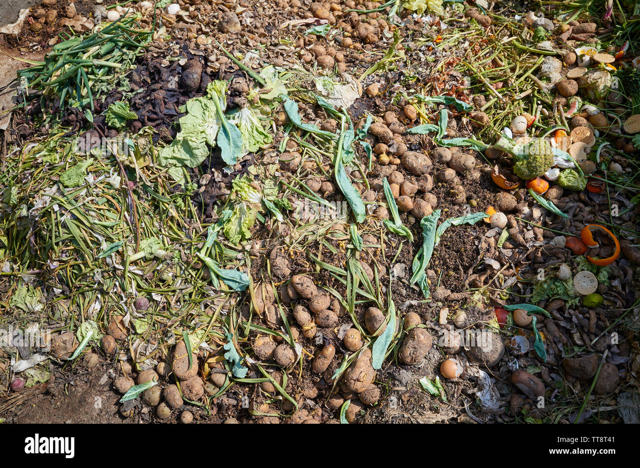 Ländliche Kompost mit Gemüse und Obst. Stockfoto