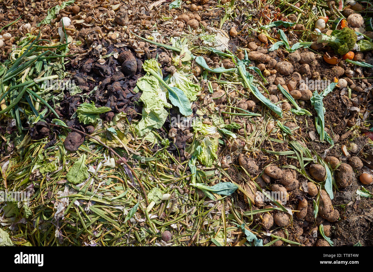 Recycling von organischen lebensmitteln Fotos und Bildmaterial in