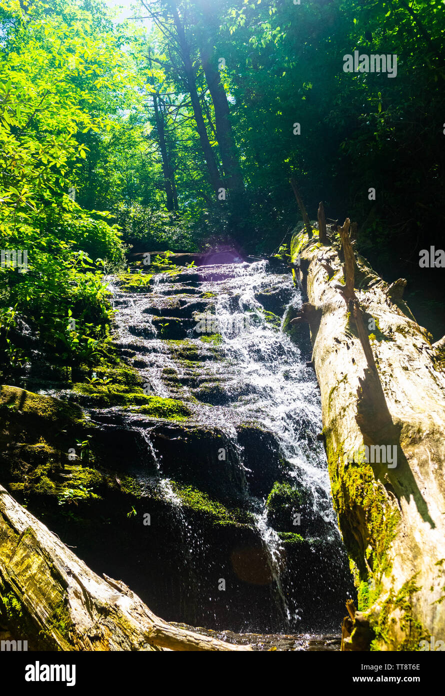 Eine lebendige Wasserfall in den tiefen Wald glitzert im Sonnenlicht. Stockfoto