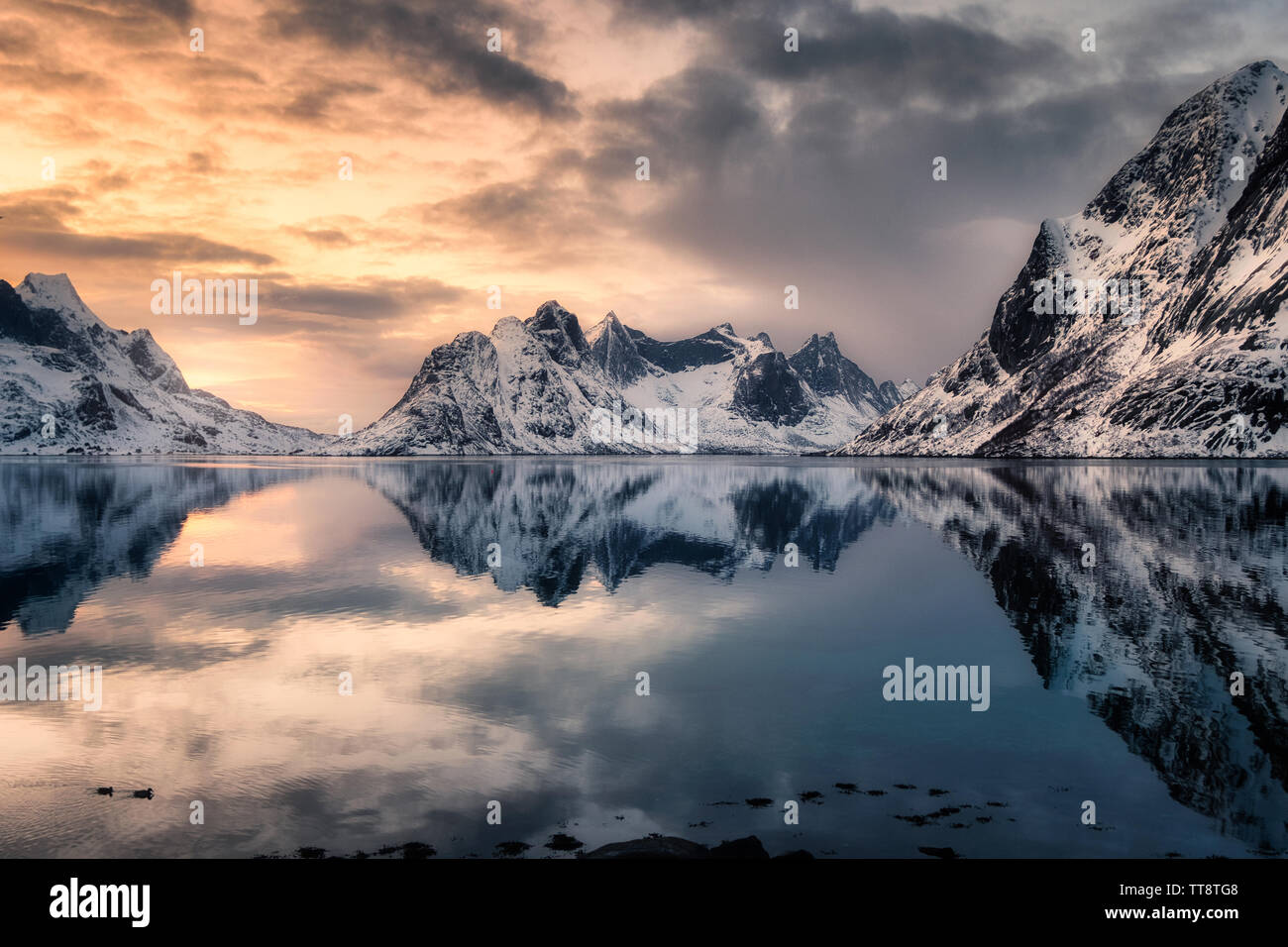Snow Mountain Reflexion der arktischen Küste bei Sonnenuntergang. Lofoten, Norwegen Stockfoto