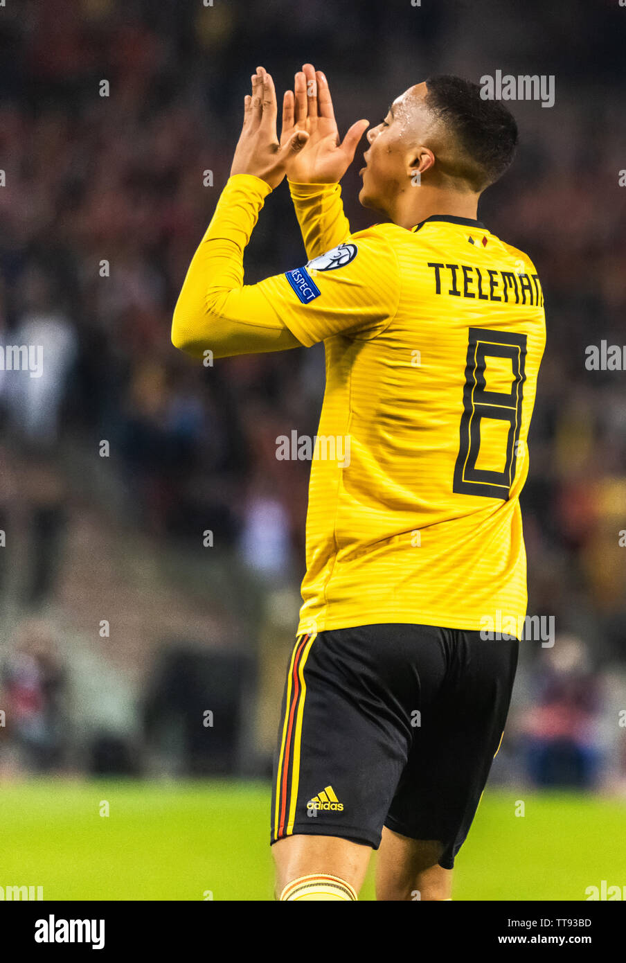 Brüssel, Belgien - 21. März 2019. Belgien Fußball Nationalmannschaft Mittelfeldspieler Youri Thielemans feiern ein Tor bei UEFA Euro 2020 qualificati Stockfoto