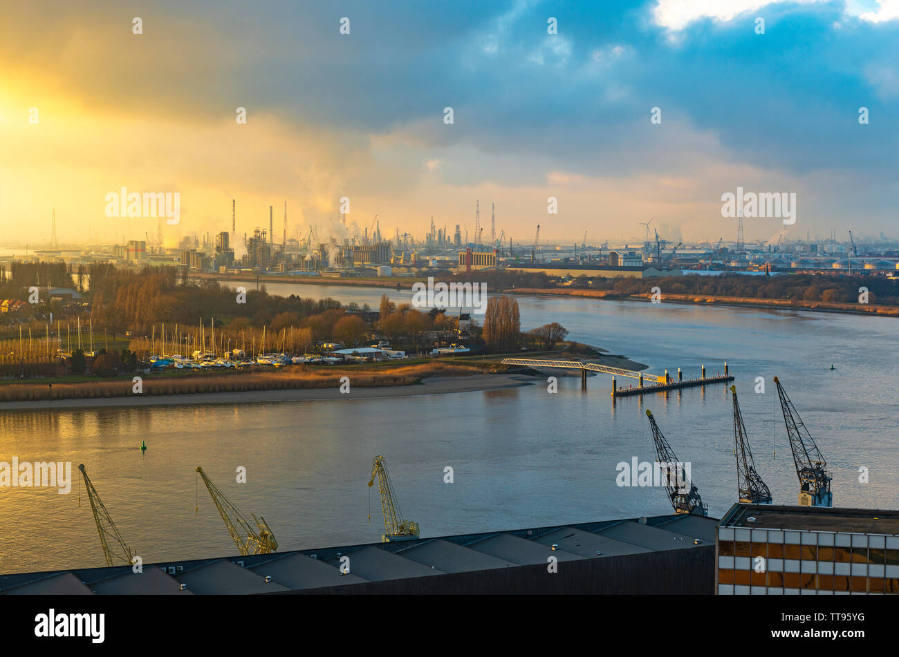 Der Hafen von Antwerpen bei Sonnenuntergang mit Kränen im Vordergrund, chemischen und nuklearen Anlagen in den Hintergrund und der Schelde, Belgien. Stockfoto
