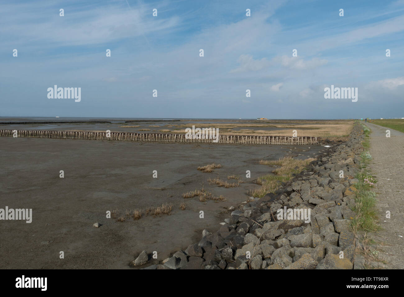 Ostfriesland, Niedersachsen, Deutschland Stockfoto