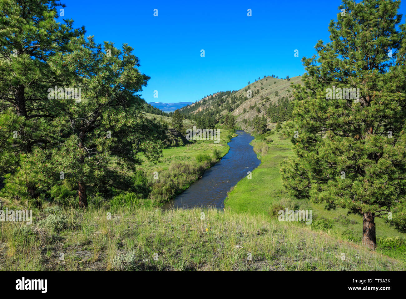 Obere Smith River am Fort Logan Fischerei der Zugang in der Nähe von White Sulphur Springs, Montana Stockfoto