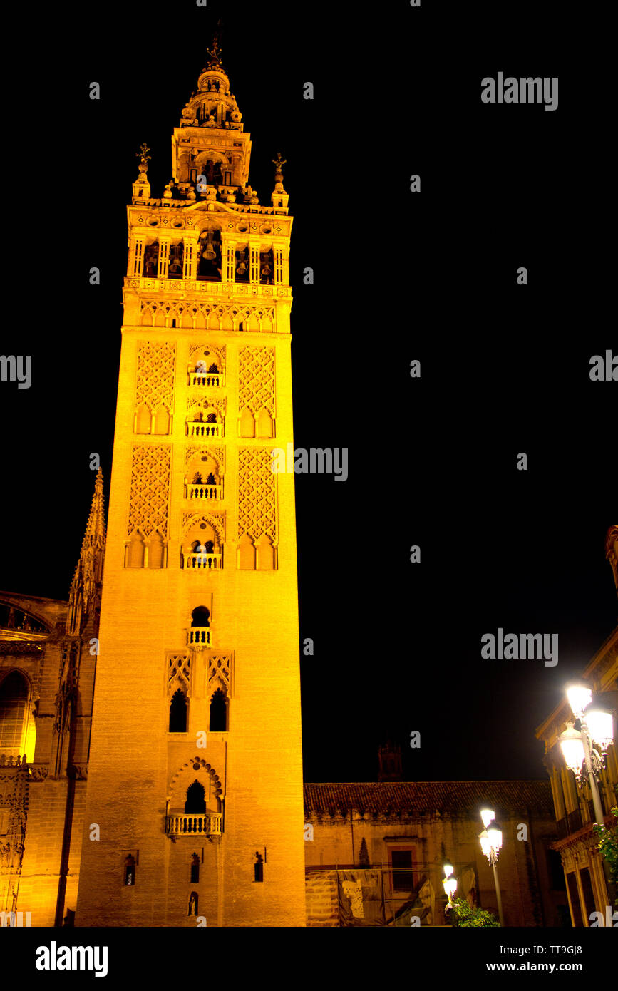 Nacht Blick auf die Giralda Glockenturm und das ehemalige Minarett, die Kathedrale von Sevilla, Sevilla, Andalusien, Spanien Stockfoto