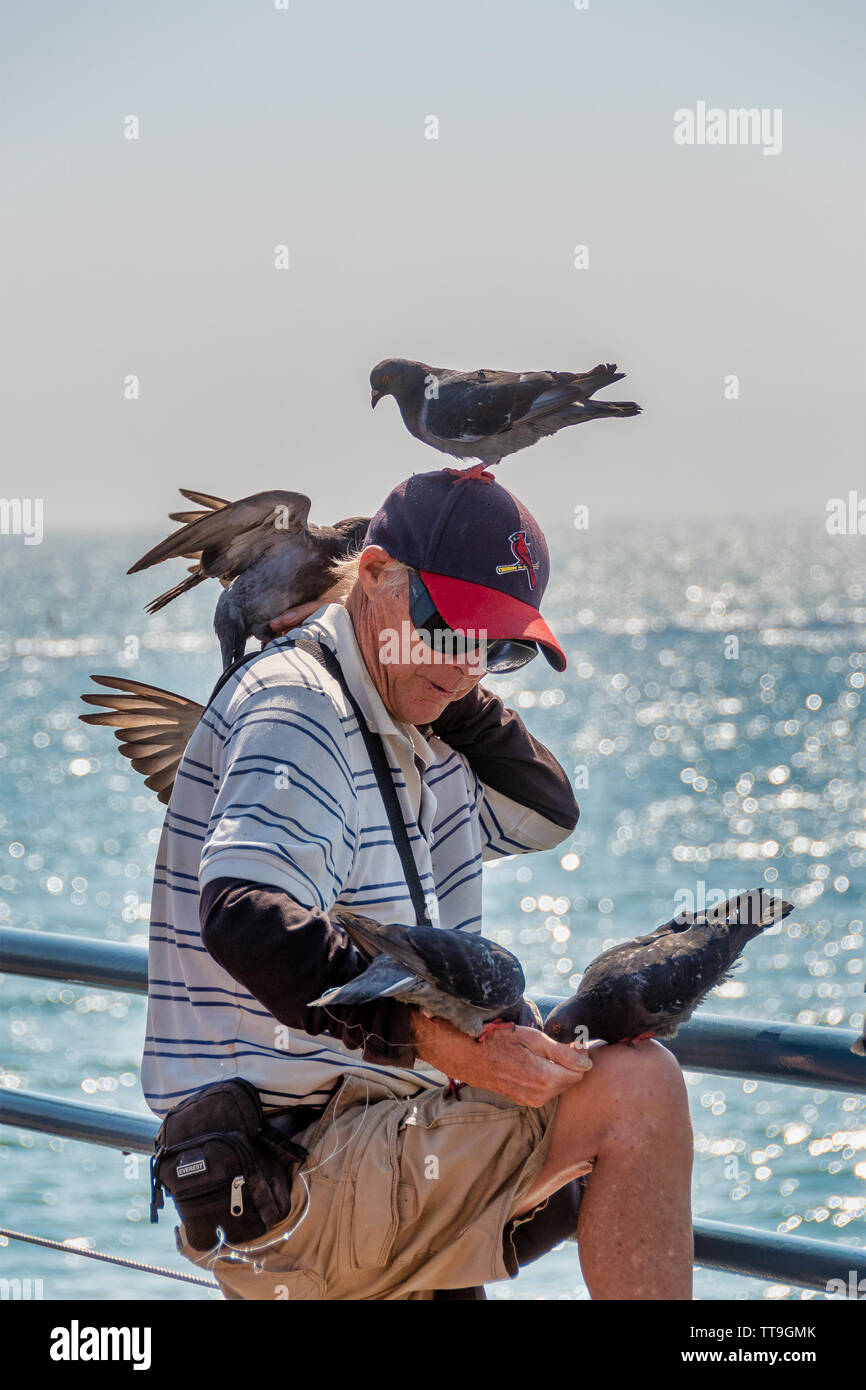 Santa Monica, CA, USA - 27. Juli 2018 - Vogelliebhaber füttern Tauben auf der Pier von Santa Monica, CA, USA, am 27. Juli 2018. Stockfoto