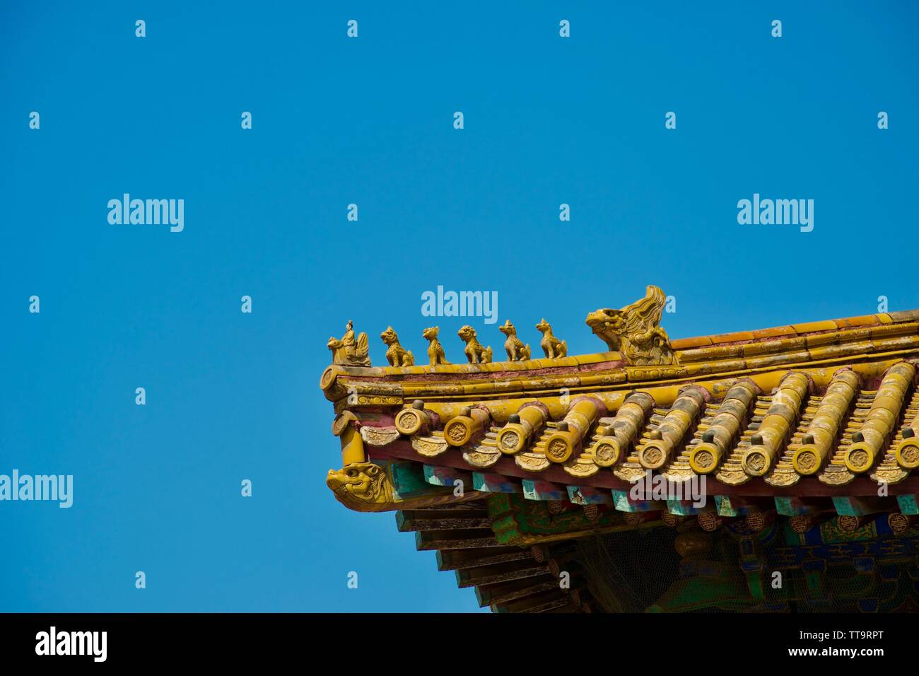 Gold traditionelle chinesische Dach vor tief blauem Himmel. Eine Reihe von Fabelwesen (Drachen) sind über die Fliesen geschnitzt Stockfoto