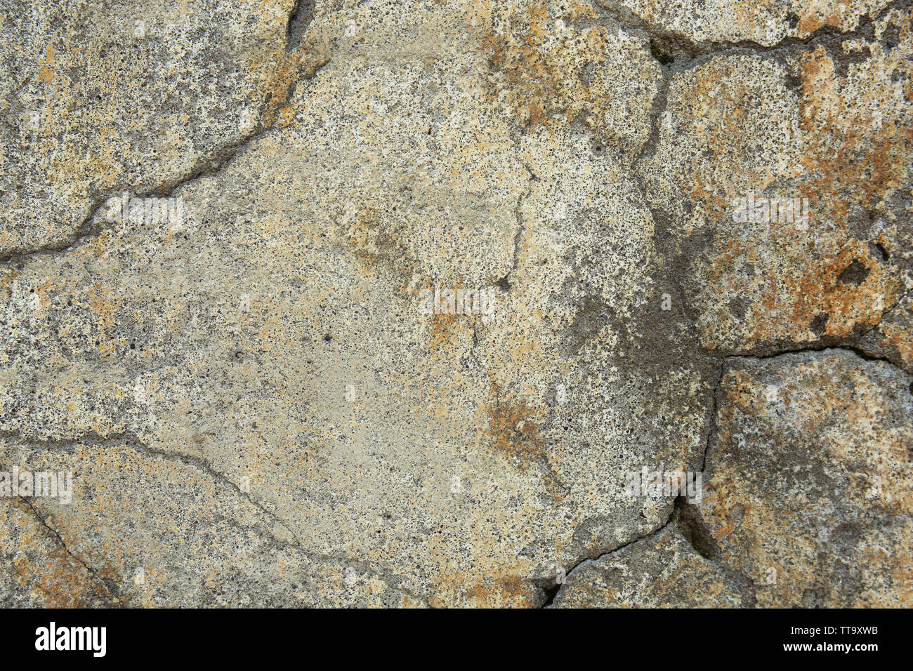 Zement Wand Textur Hintergrund Stockfoto