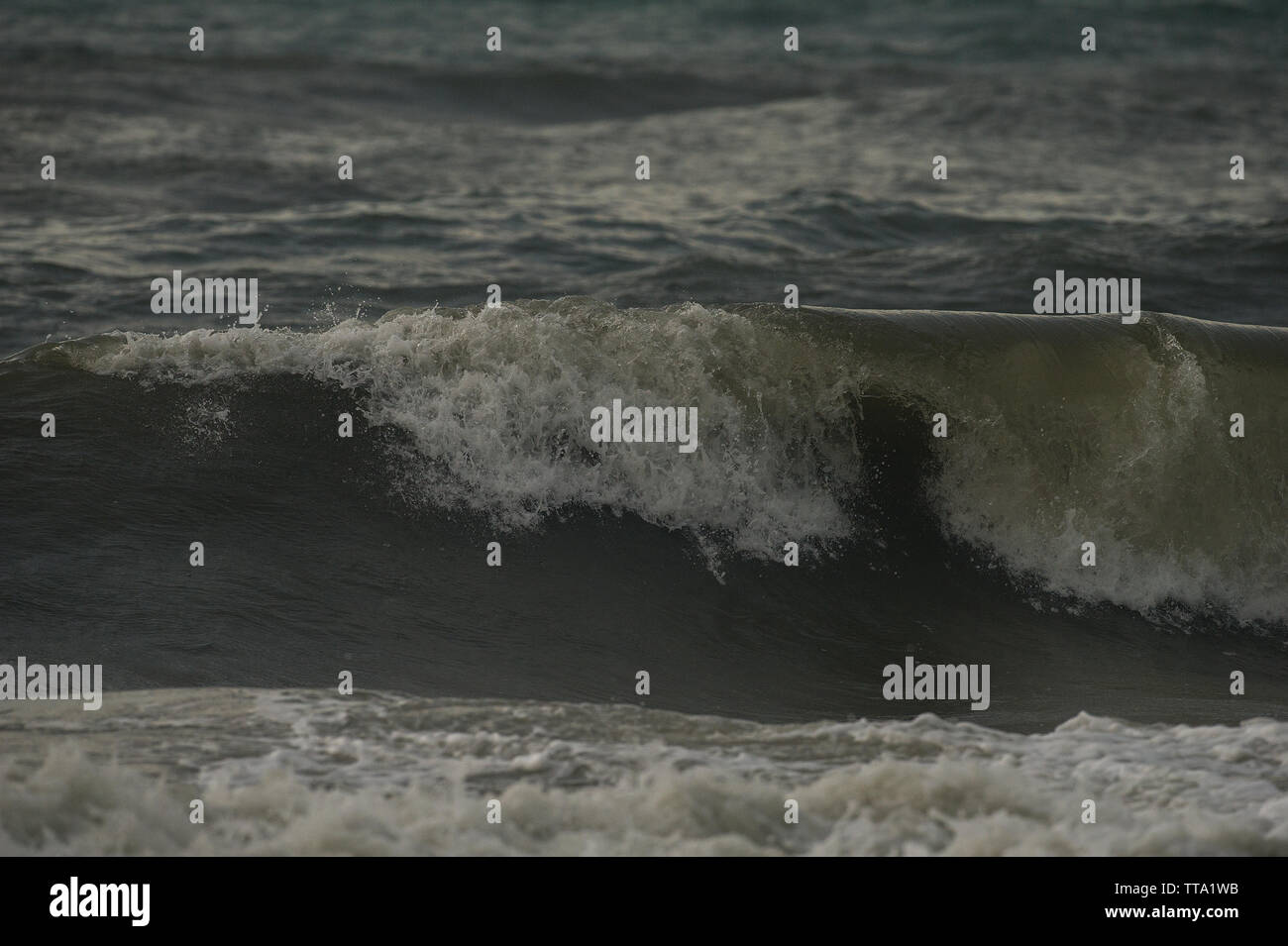 UNITED STATES: Juni 24, 2015; nördliche Strände von Ocracoke Island, North Carolina. (Foto von Douglas Graham/WLP) Stockfoto