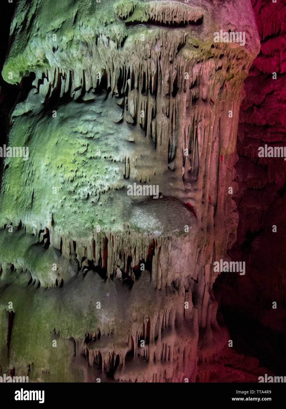 Detail der Stalagmit in St. Michael's Cave, Gibraltar, Großbritannien. Stockfoto