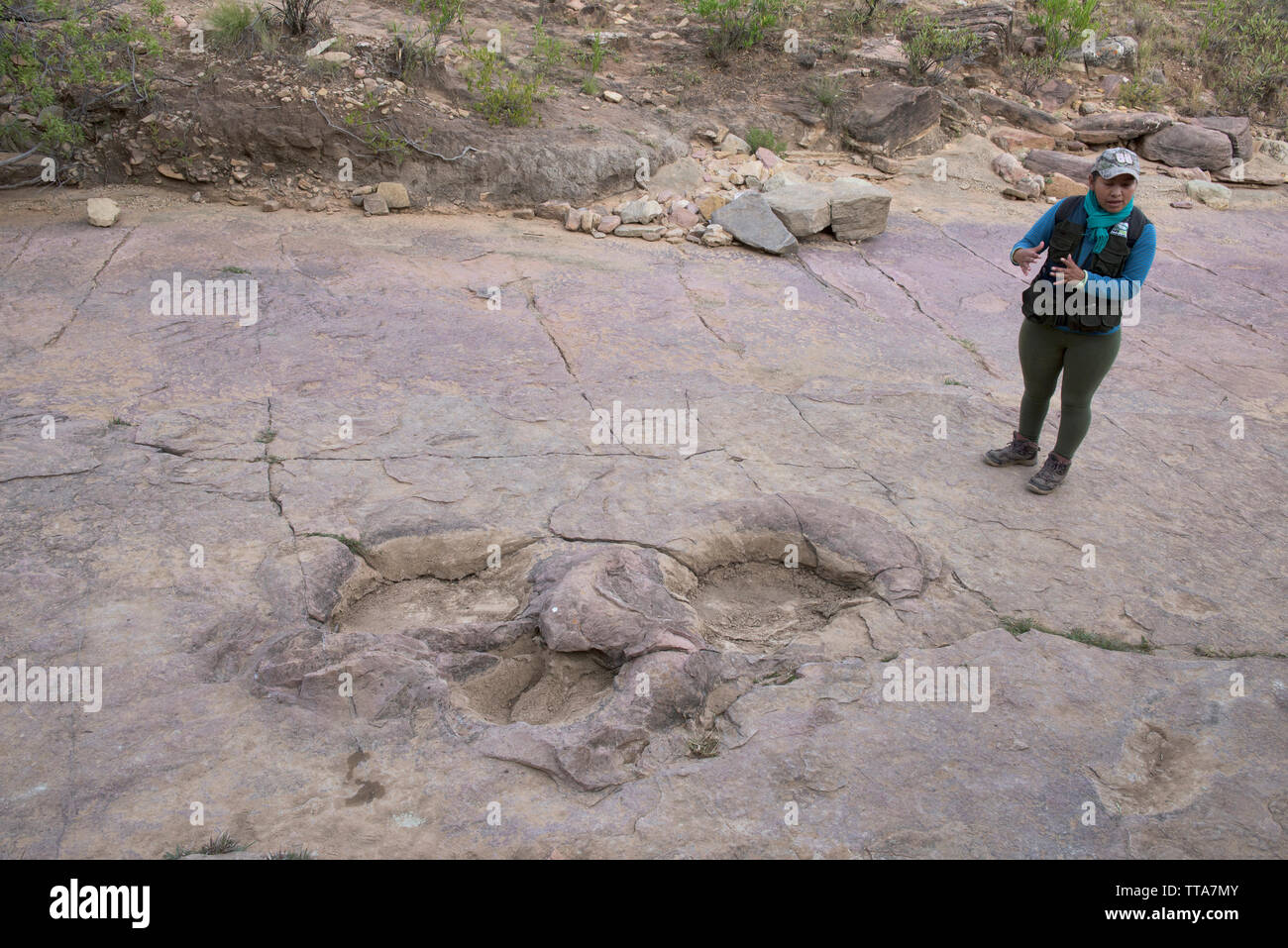 Dinosaur Footprint in Torotoro Nationalpark, Torotoro, Bolivien Stockfoto