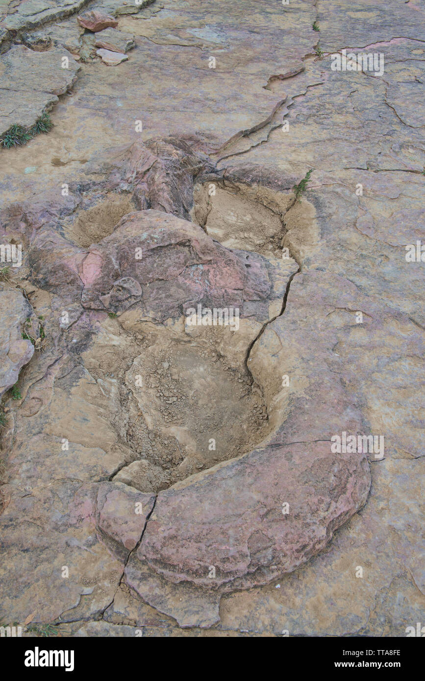 Dinosaur Footprint in Torotoro Nationalpark, Torotoro, Bolivien Stockfoto