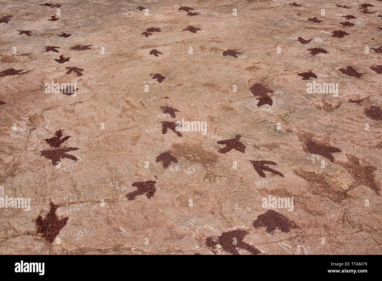 Fußabdrücke von Dinosauriern in Torotoro Nationalpark, Torotoro, Bolivien Stockfoto