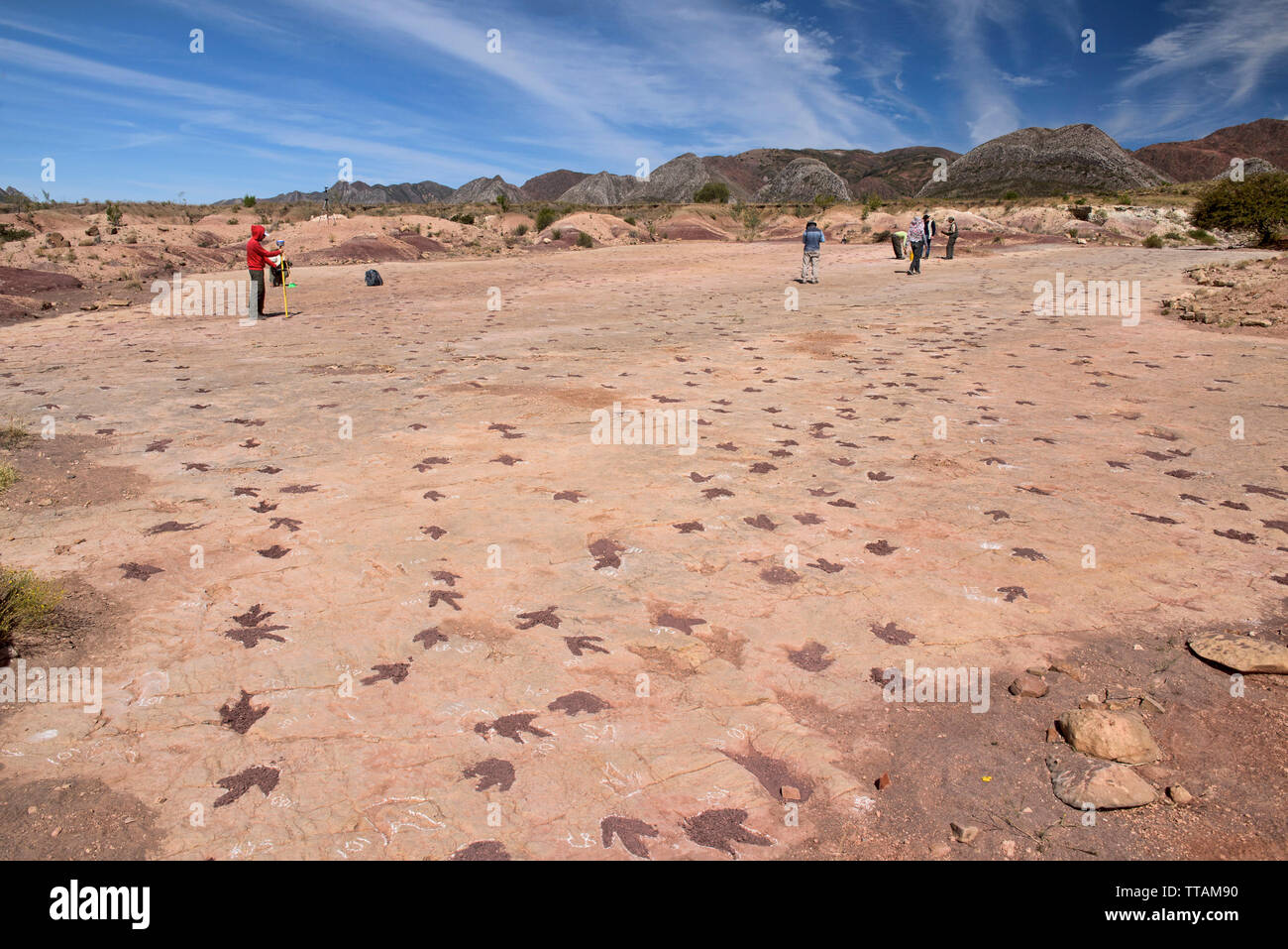Fußabdrücke von Dinosauriern in Torotoro Nationalpark, Torotoro, Bolivien Stockfoto