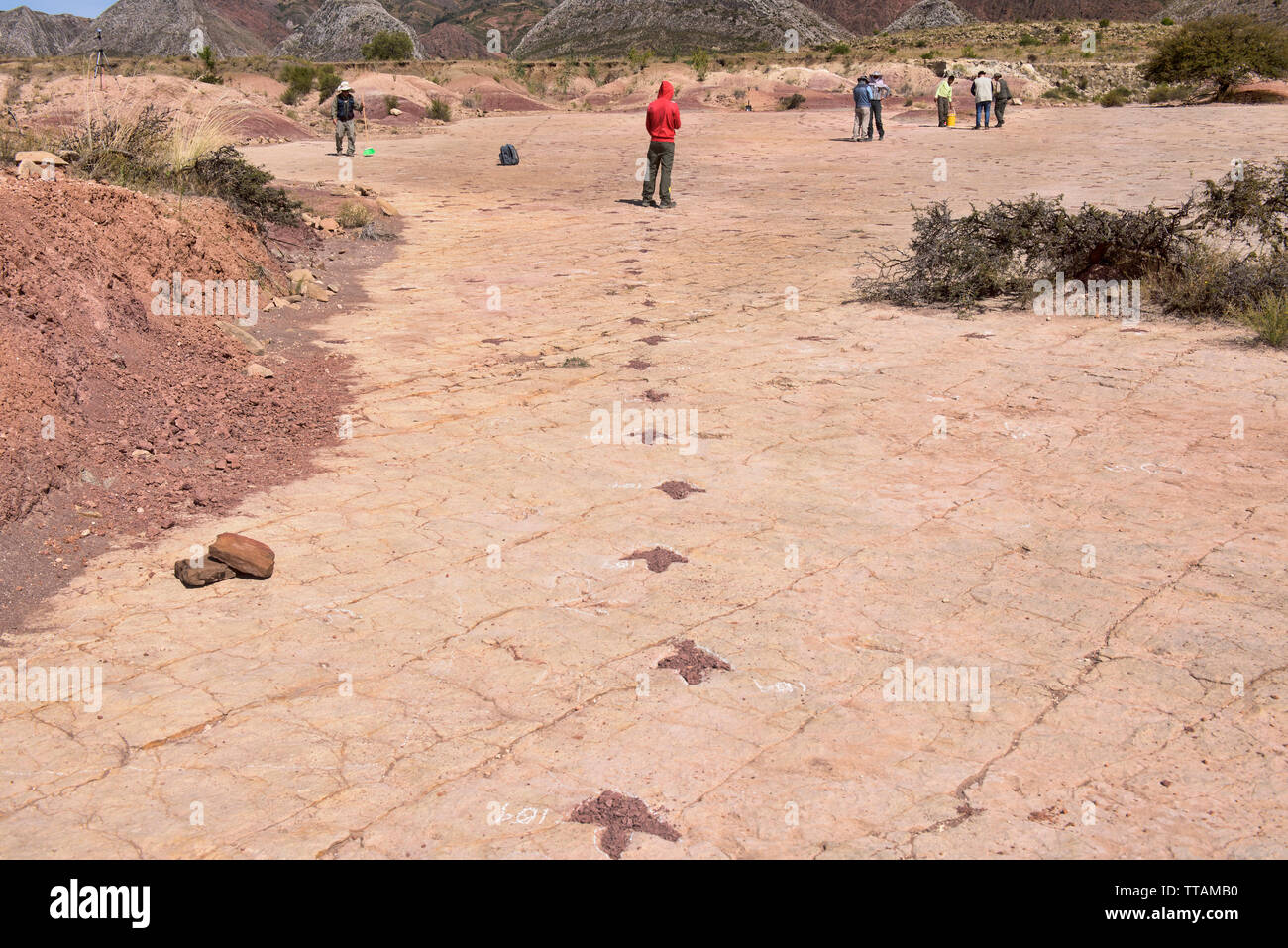 Fußabdrücke von Dinosauriern in Torotoro Nationalpark, Torotoro, Bolivien Stockfoto