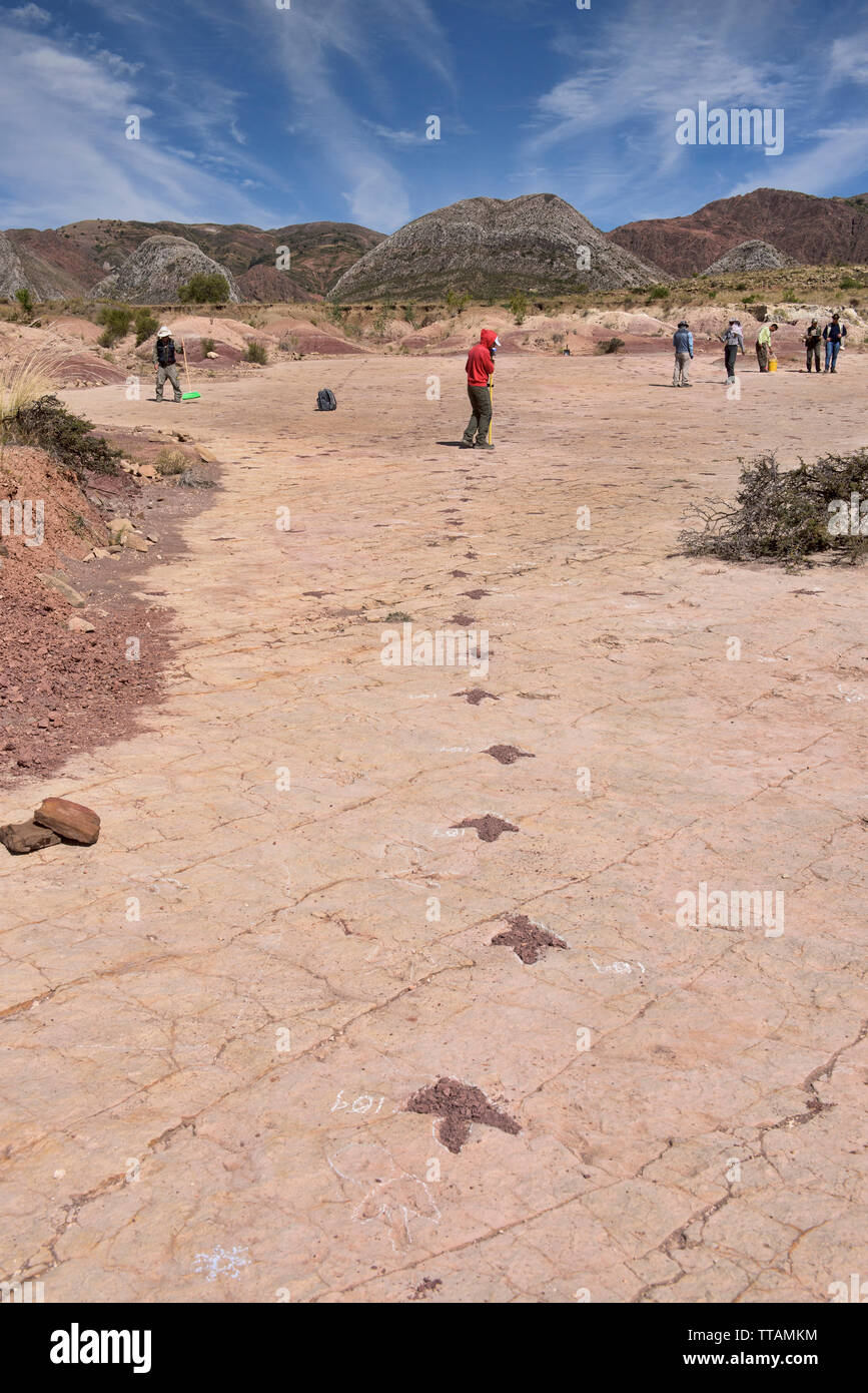 Fußabdrücke von Dinosauriern in Torotoro Nationalpark, Torotoro, Bolivien Stockfoto