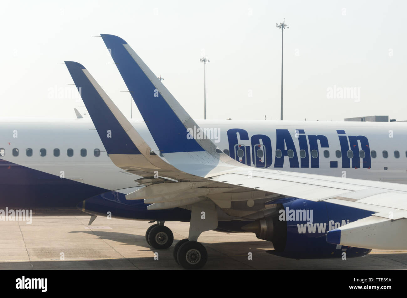 Eng IndiGo Flugzeug Tragfläche direkt neben GoAir Flug Winglet am Internationalen Flughafen Indira Gandhi, Delhi, Indien geparkt Stockfoto