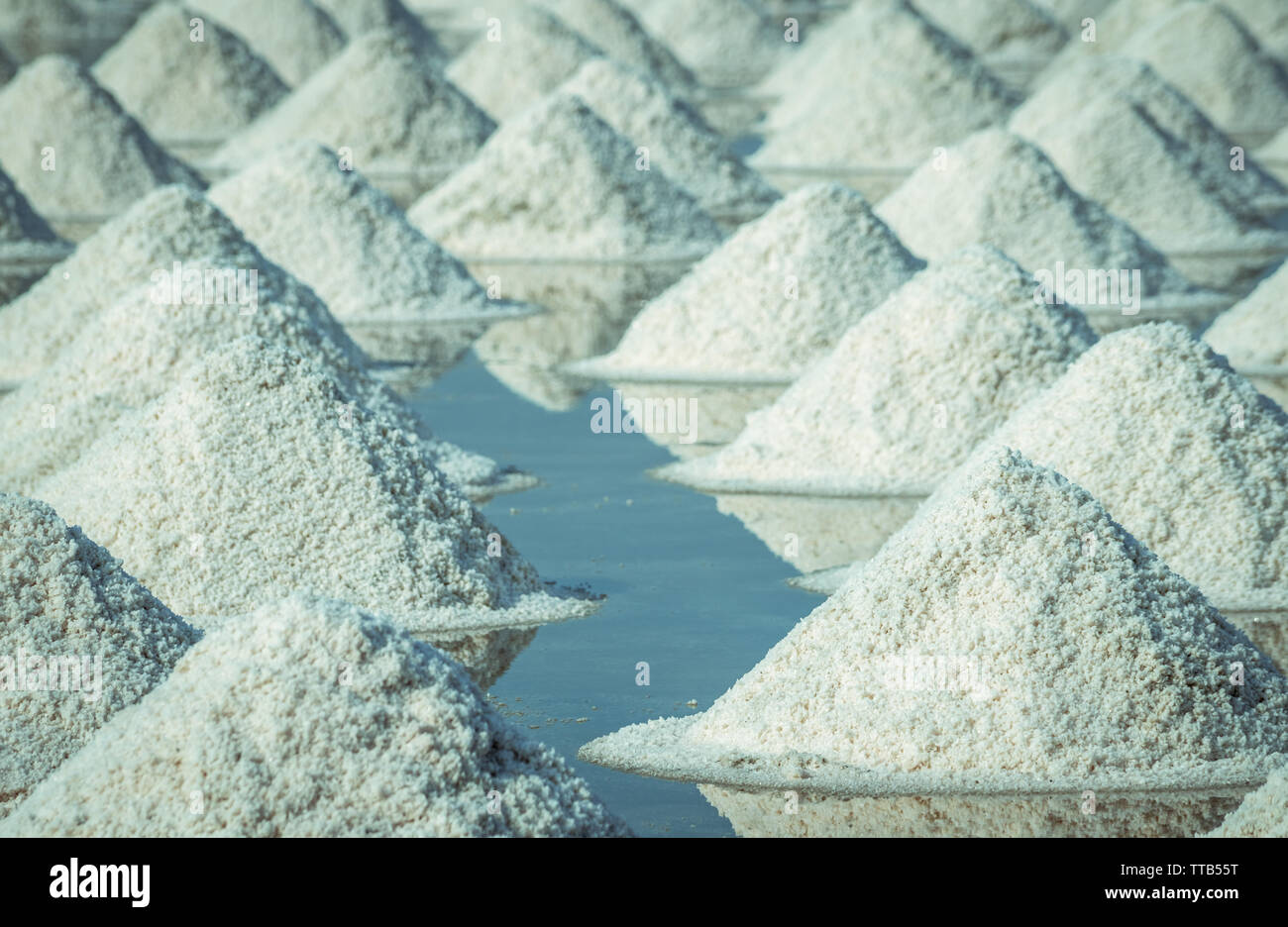 Meersalz Bauernhof in Thailand. Bio Meersalz. Verdampfung und Kristallisation von Meerwasser. Rohstoff Salz industrial. Natriumchlorid. Solar Stockfoto