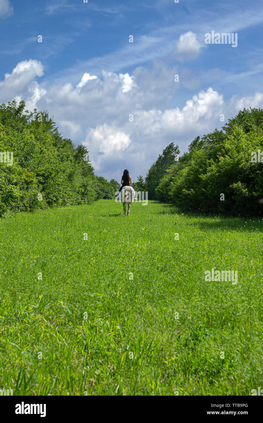 Schönen, grünen Gras mit hohen und dichten Gebüsch umgeben, blauer Himmel mit weißen Wolken am Horizont, Frau auf weißen Pferd Stockfoto