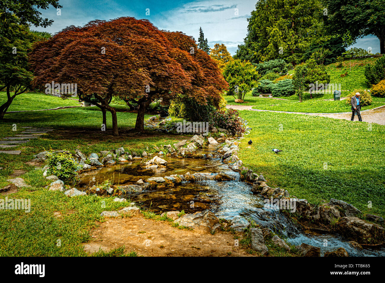 Italien Piemont Turin Valentino Park - Rock garden - Bäume und stream-Japan acero Stockfoto