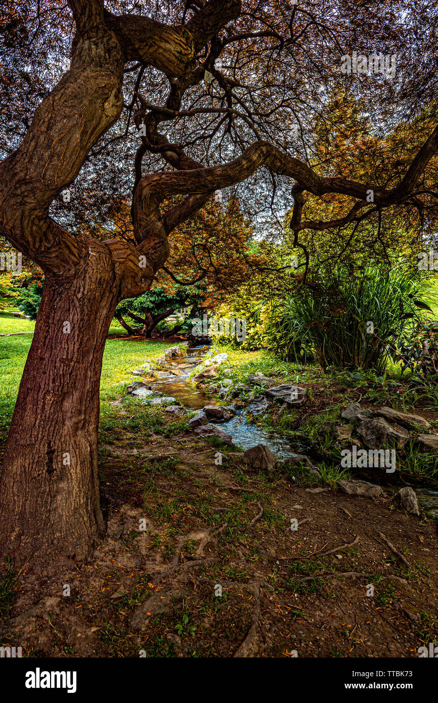 Italien Piemont Turin Valentino Park - Rock garden - Bäume Stockfoto
