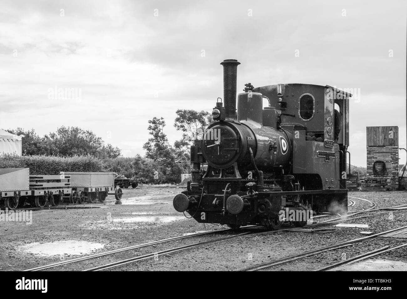 Eine alte Dampflok Lok auf das Erbe Talyllyn Railway, Wales, Großbritannien Stockfoto