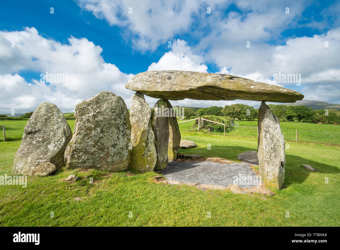 Pentre Ifan neolithische Grabkammer oder Dolmen (einem großen flachen Stein auf mehrere aufrechte Steine) in Pembrokeshire, Wales, Großbritannien Stockfoto